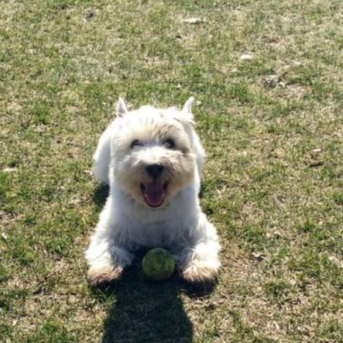 Untitled design (26)